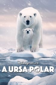 Assista o filme A Ursa Polar Online Gratis