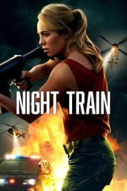 Assista o filme Night Train Online Gratis