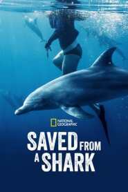 Assista o filme Resgatados dos Tubarões Online Gratis