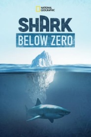 Assista o filme Shark Below Zero Online Gratis