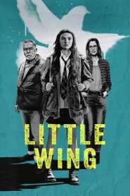 Assista o filme Little Wing Online Gratis