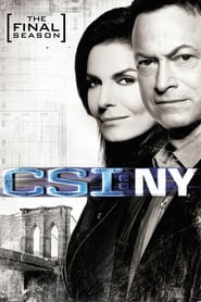 Assista a serie CSI: Nova York Online Gratis